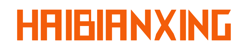 成都海边星科技有限公司文字logo